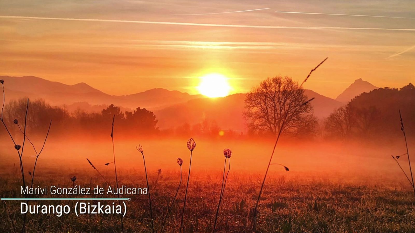 Nieblas en la cuenca del Ebro - ver ahora