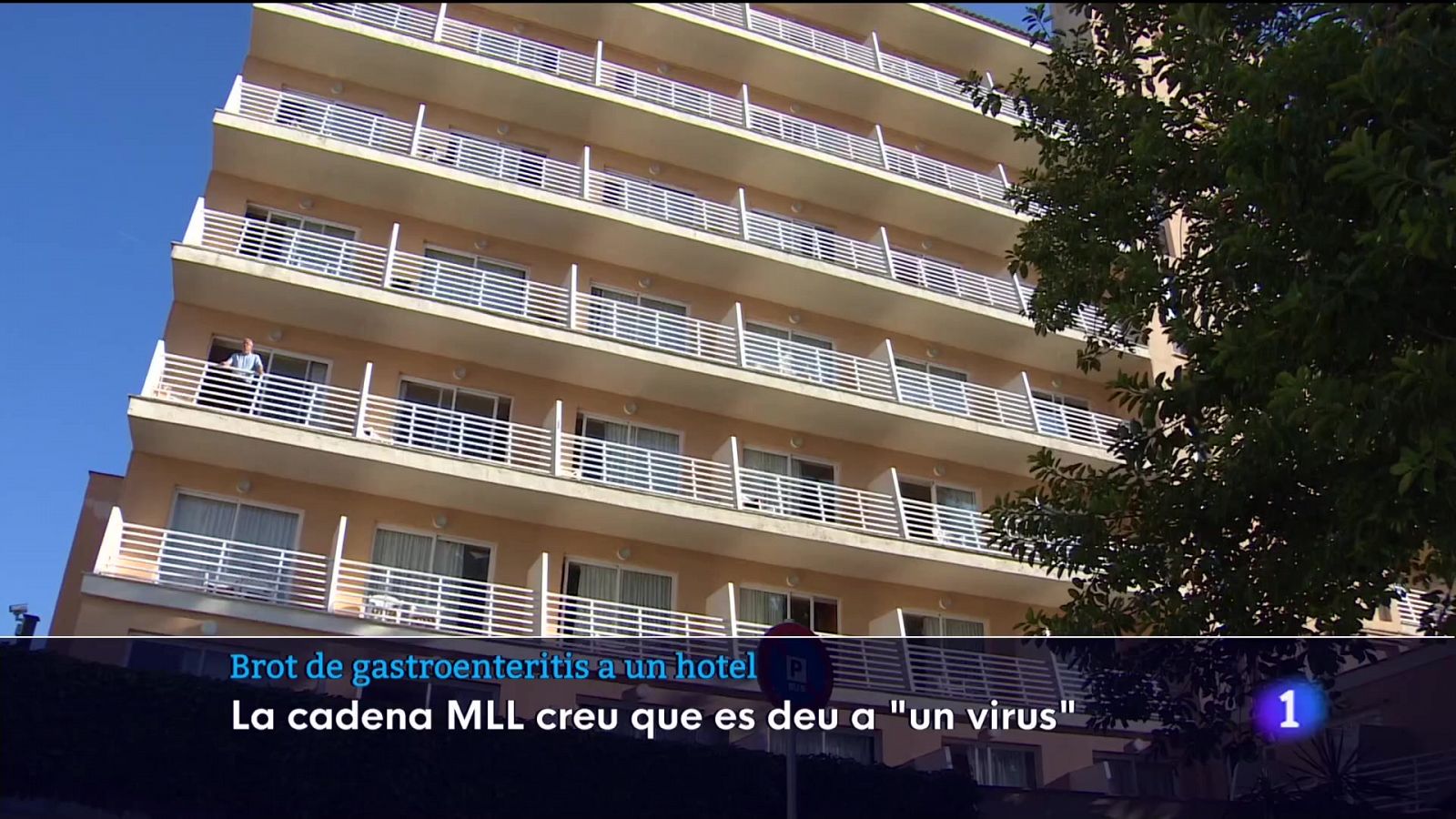 Intoxicació Imserso | Ver