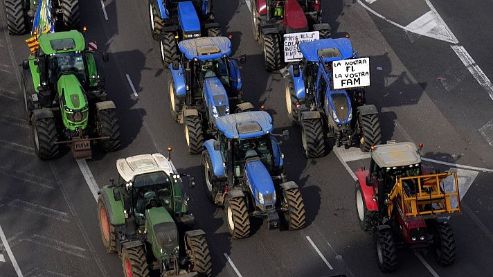 La tarde en 24h - La tarde en 24 horas - 07/02/24