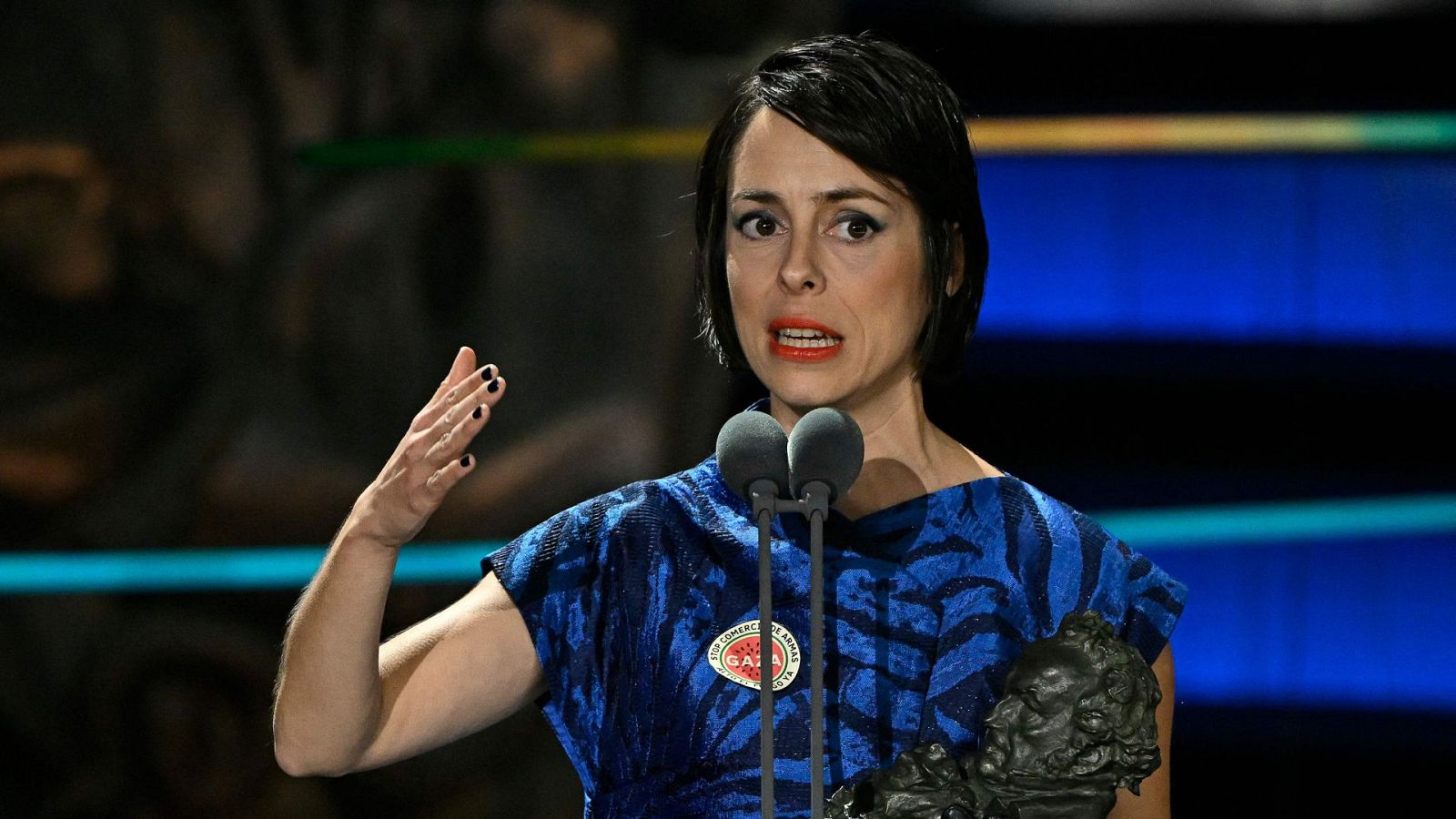 Premios Goya 2024 - Gala Premios Goya 2024 en lengua de signos - Ver ahora