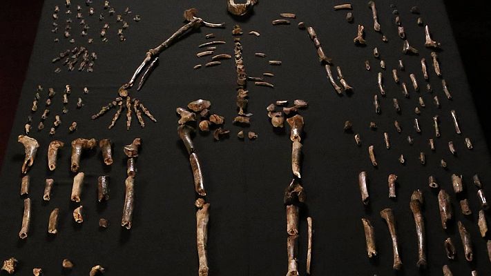 El Homo naledi y sus misteriosas costumbres