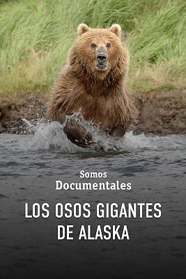Somos Documentales - Los osos gigantes de Alaska