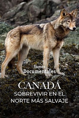 Somos Documentales - Canadá. Sobrevivir en el norte más salvaje