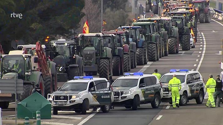 Telediario en lengua de signos - Telediario - 21 horas - 08/02/24 - Lengua de signos