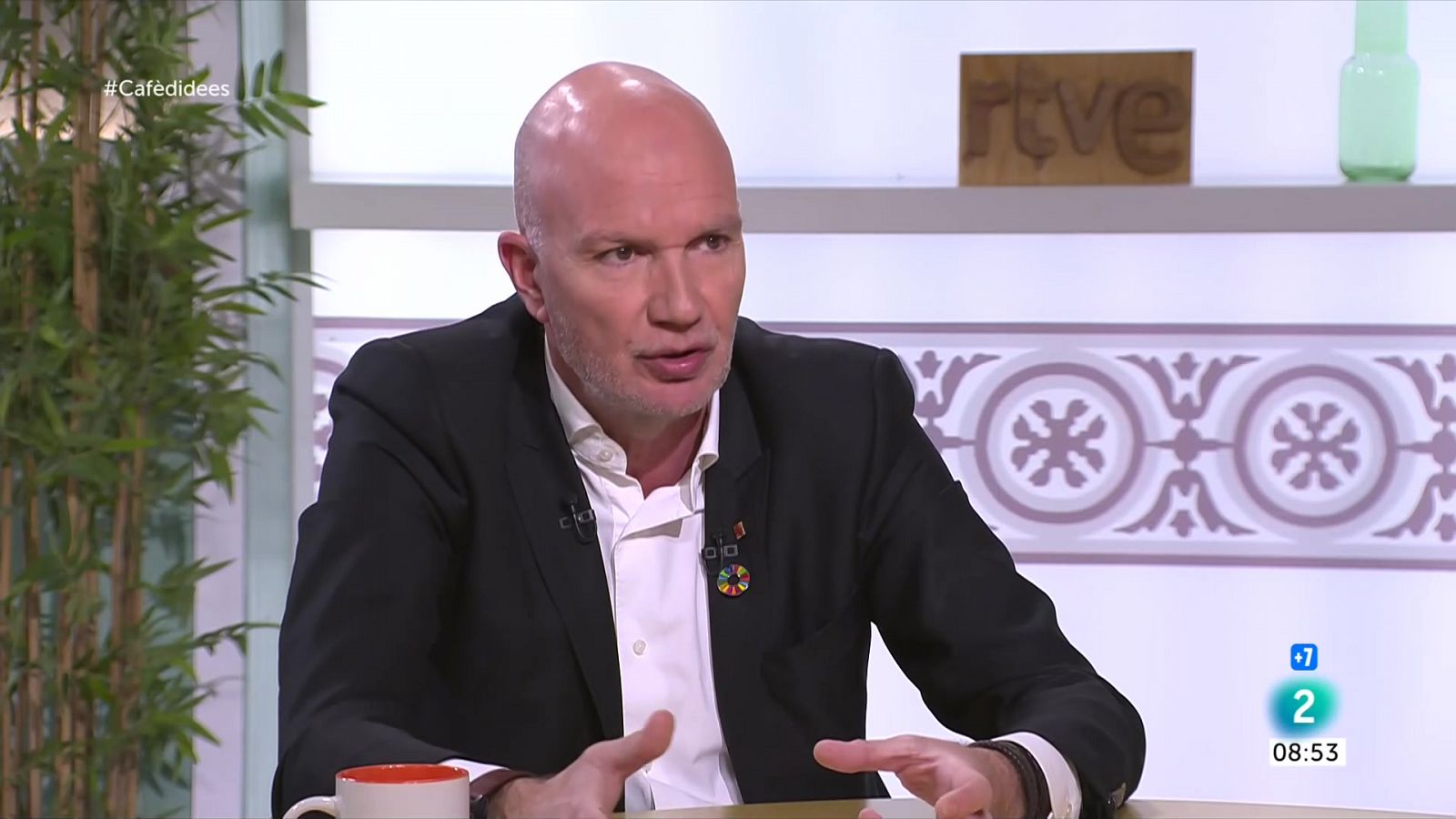 Mascort demana les mateixes condicions pels productes extracomunitaris | Veure