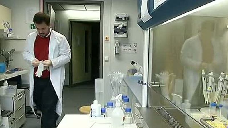 Científicos españoles demuestran la relación entre los pesticidas y el Parkinson