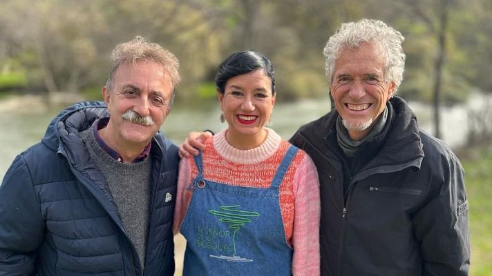 El señor de los bosques - Hoya Encavera