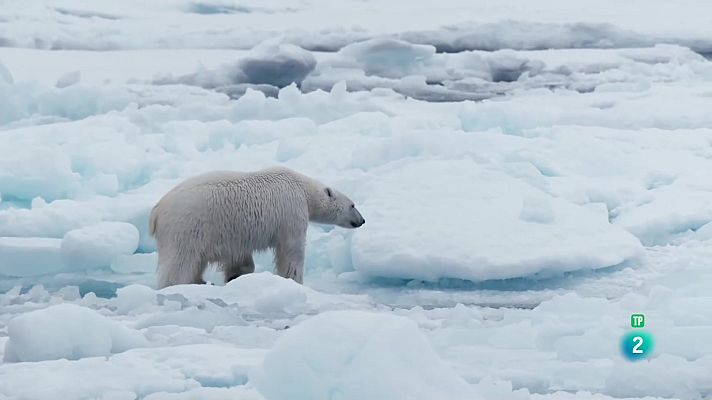 Som Documentals - Paradisos nevats