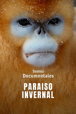 Som Documentals - Paradisos nevats