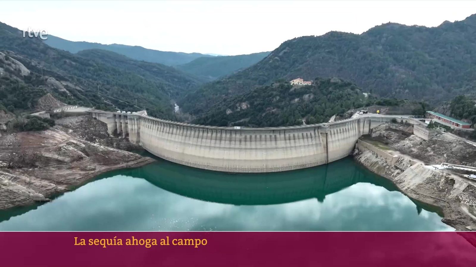 La sequía ahoga el campo | Ver