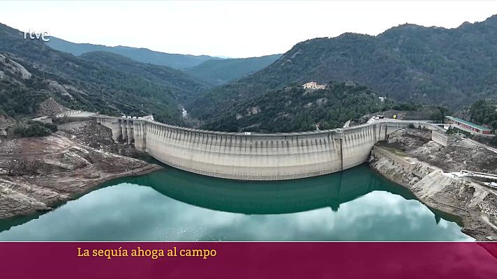 Parlamento - La sequía ahoga el campo