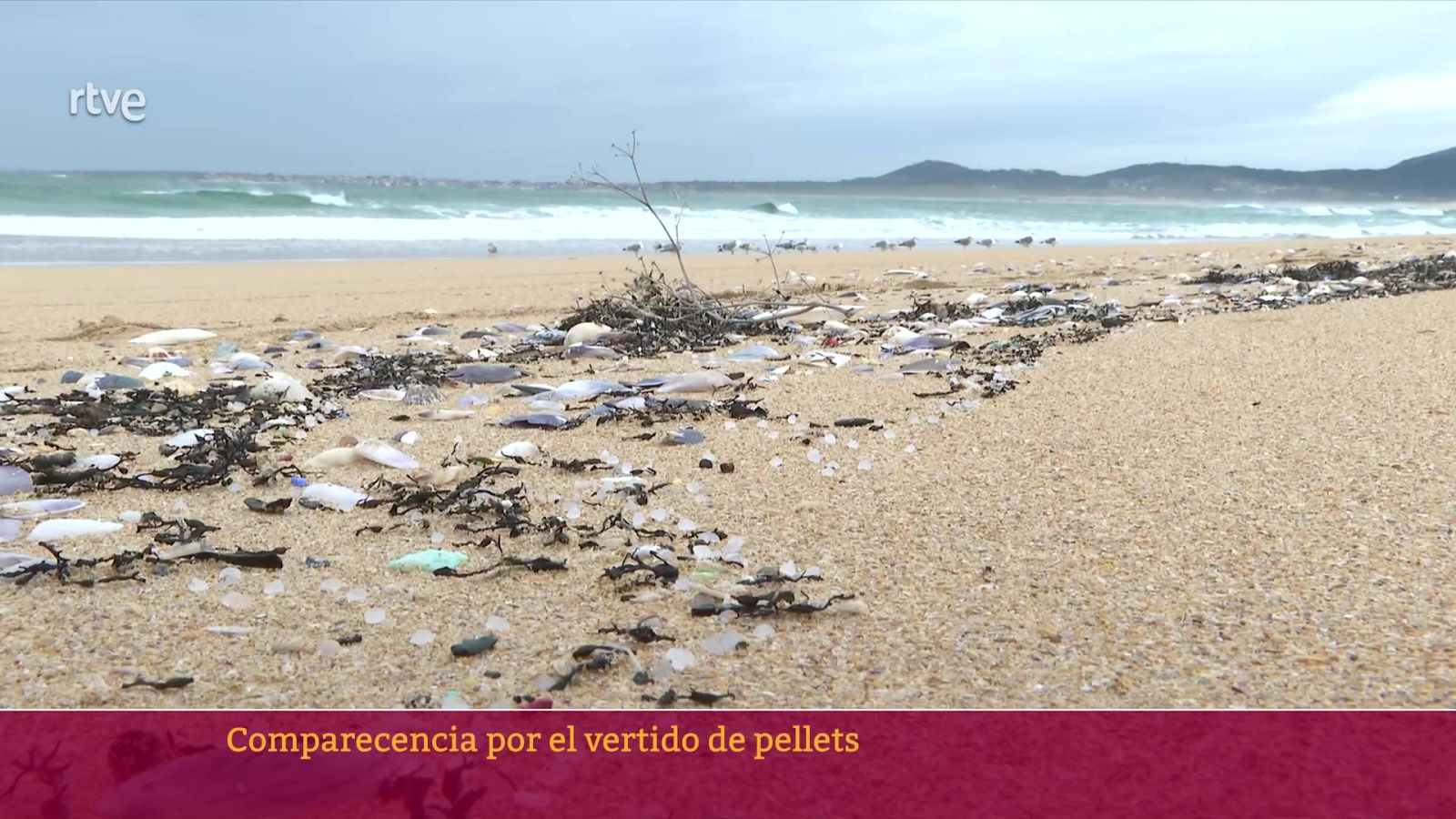 Comparecencia por el vertido de pellets | Ver