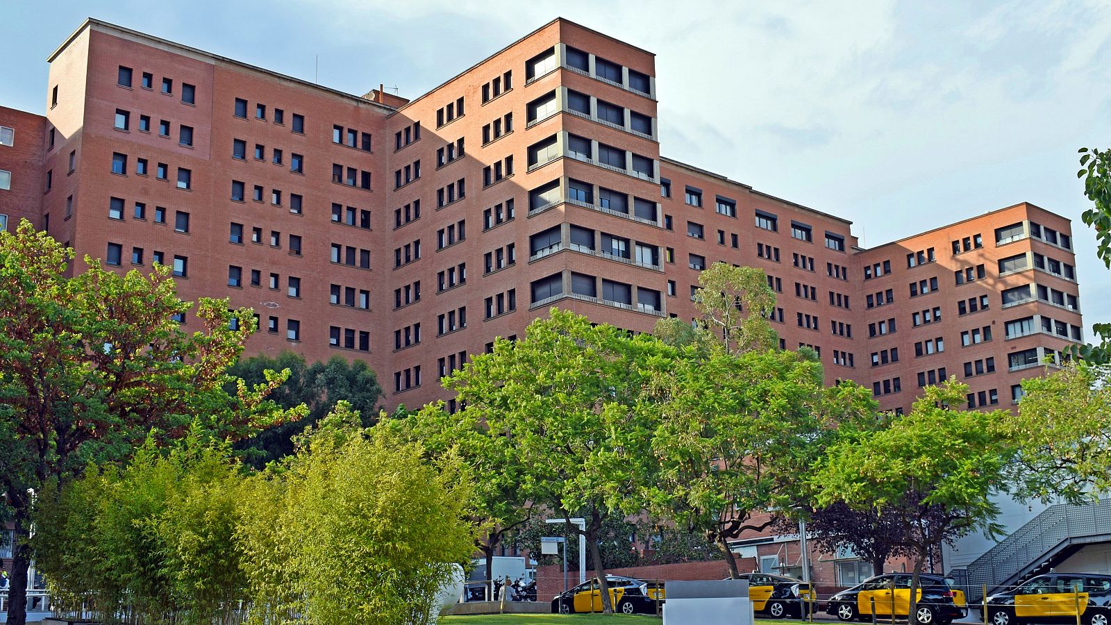 Despertar a pacientes conectados a pulmones artificiales mejora su recuperación | Ver