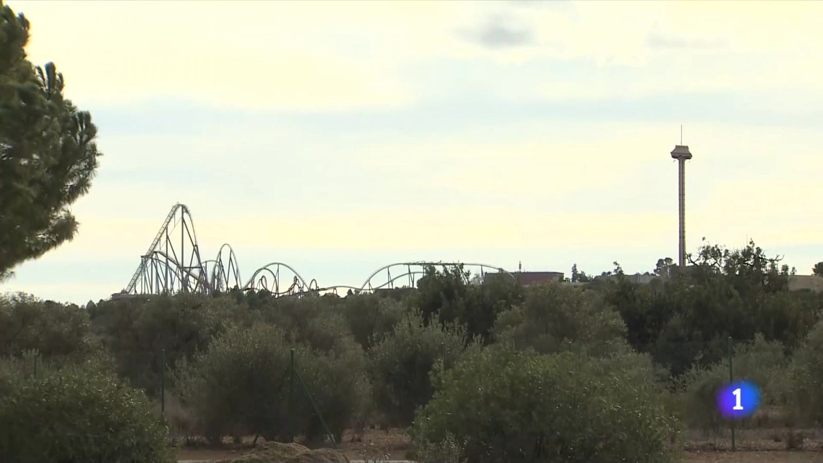 Dues persones en estat crític per la caiguda d'un arbre a Port Aventura - L'Informatiu | Ver