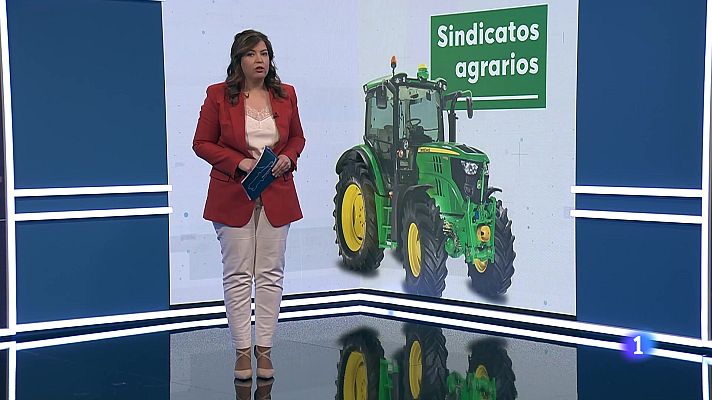 Panorama Regional - Panorama Regional - 13/02/24