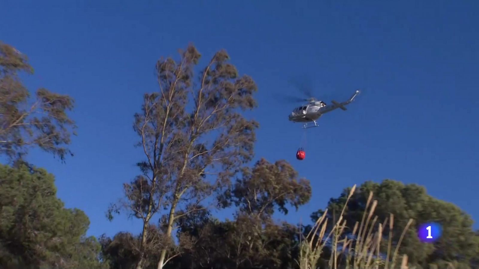 L'Informatiu Comunitat Valenciana 1 - 13/02/24 | Ver