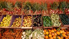 Las exportaciones agrícolas de Marruecos, en el punto de mira