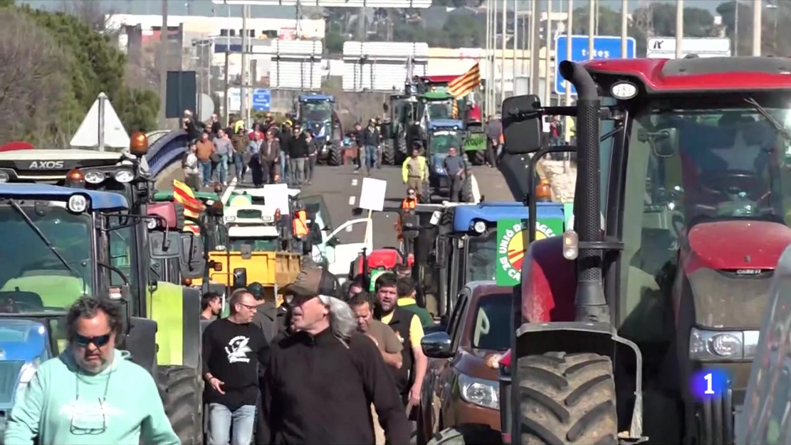 L'informatiu 2 - 13/02/02024 - L'Informatiu | Veure