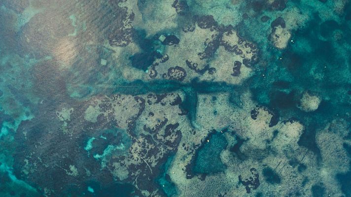 Telediario 2 - El Mar Mediterráneo lleva 60 días con temperaturas más altas de lo habitual