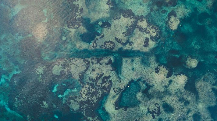 Telediario 2 - El Mar Mediterráneo lleva 60 días con temperaturas más altas de lo habitual