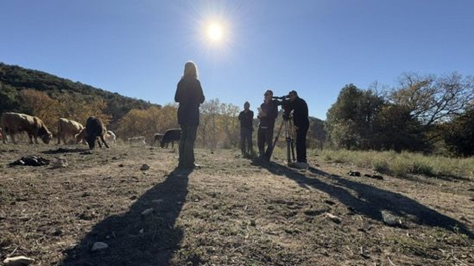 Para Todos La 2-Contra los efectos de la sequía en la montaña - Para todos La 2 | Ver