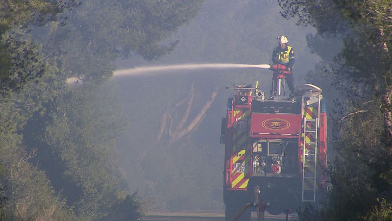 Estabilizado el fuego del Saler, el decimoséptimo incendio en la zona desde verano