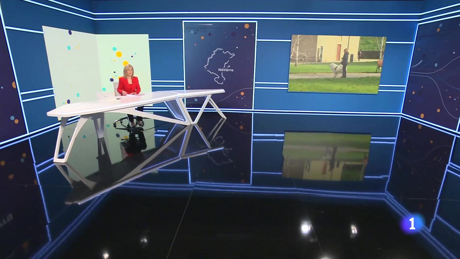 Telenavarra en 2' -  14/2/2024 | Ver