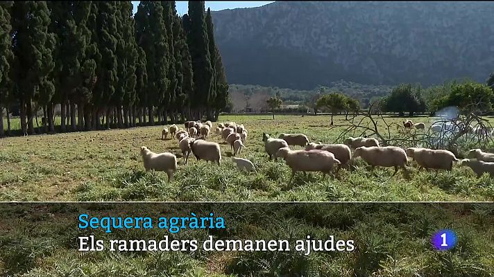 Informatiu Balear - Informatiu Balear en 2' - 14/02/24