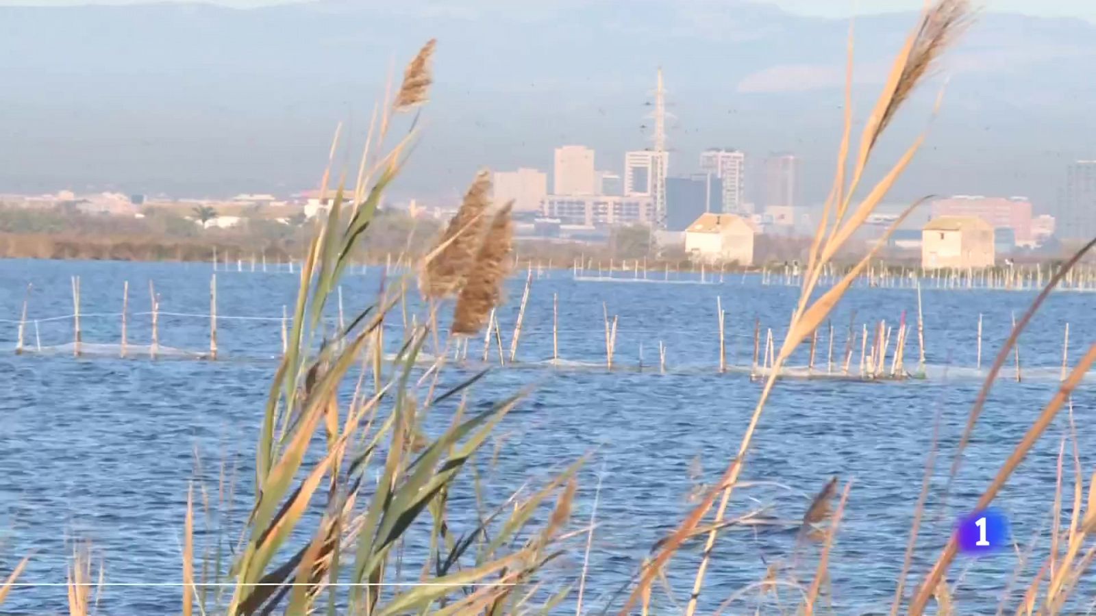 L'Informatiu Comunitat Valenciana 2 - 14/02/24 | Ver