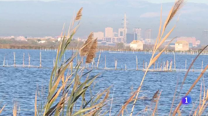 L'informatiu - Comunitat Valenciana - L'Informatiu Comunitat Valenciana 2 - 14/02/24