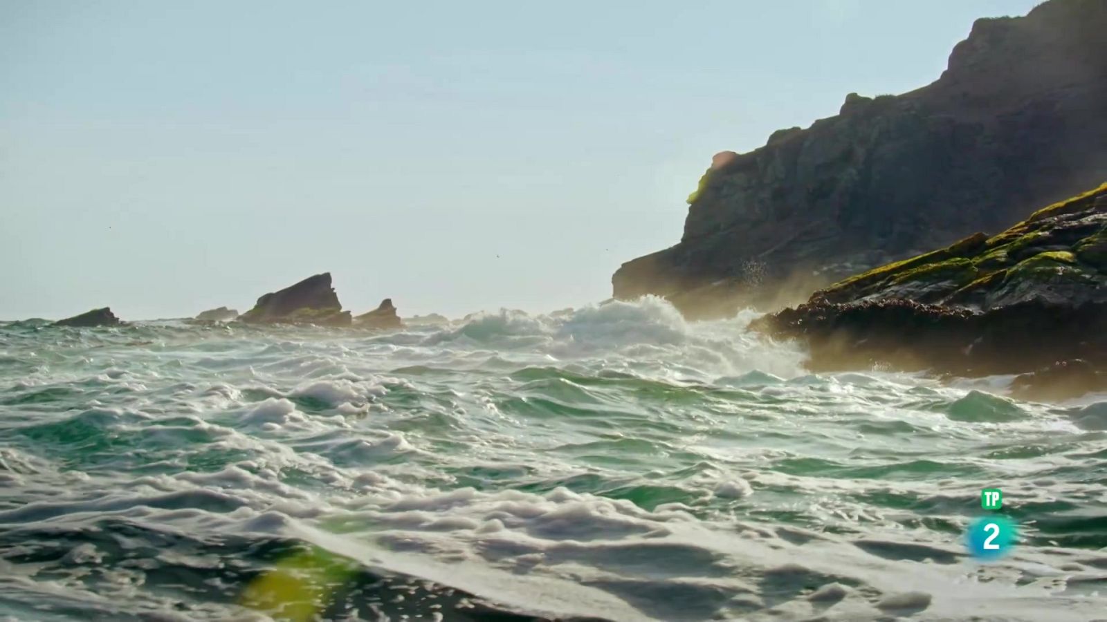 Grans Documentals - El corrent de Humboldt: La Gènesi - Veure ara