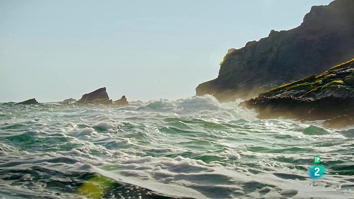 Som Documentals - El corrent de Humboldt: La Gènesi