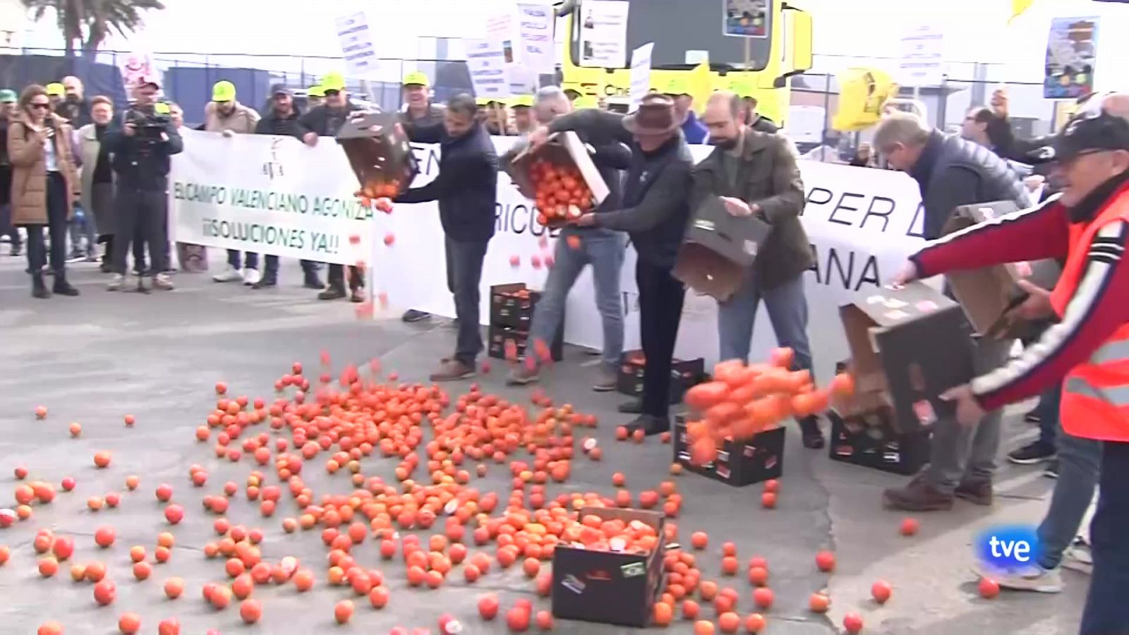 L'Informatiu Comunitat Valenciana 1 - 15/02/24 | Ver