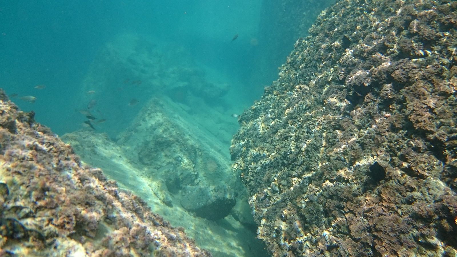 Minas submarinas en España: ¿una alternativa a las tradicionales? | Ver