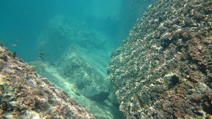 Telediario 1 - Minas submarinas en España: ¿una alternativa a las tradicionales?