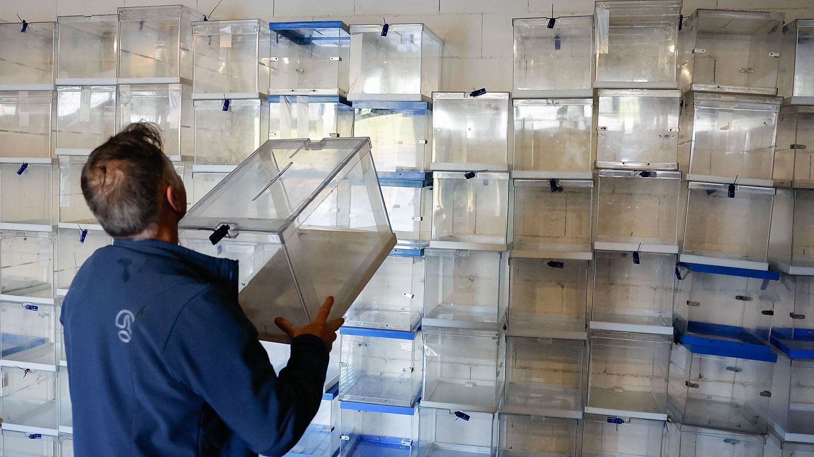 Elecciones Galicia 2024: El voto exterior podría ser decisivo | Ver