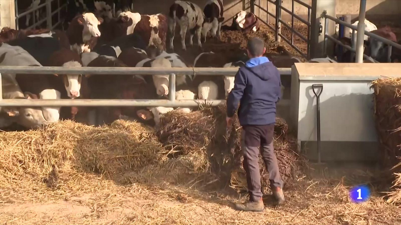 L'informatiu 2 - 15/02/2024 - L'Informatiu | Veure