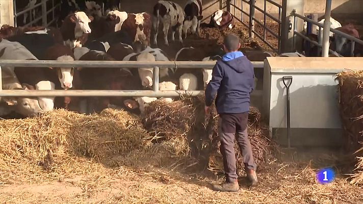 L'Informatiu - L'informatiu 2 - 15/02/2024