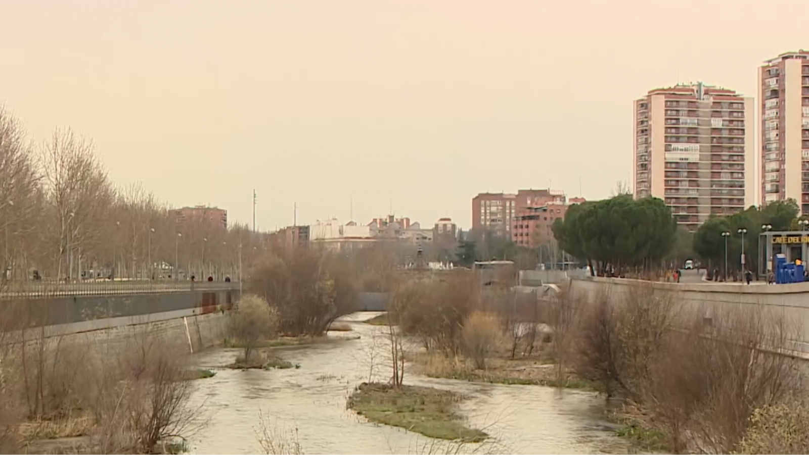 Polémica por la Mascletà madrileña y sus posible daños a la fauna