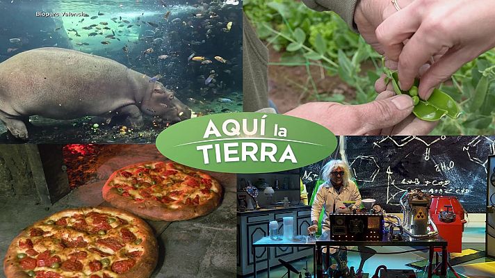 Aquí la Tierra - Aquí la Tierra - 15/02/24
