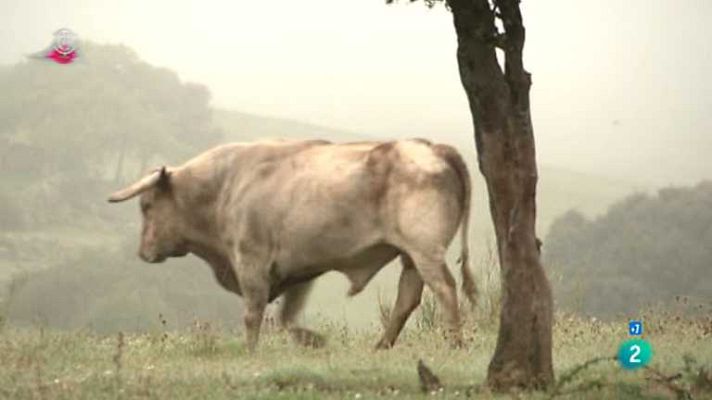 Tendido cero - Tendido cero - 01/12/12
