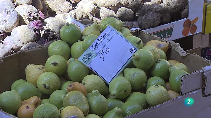 Telecanarias - Telecanarias 2 - 15/02/2024