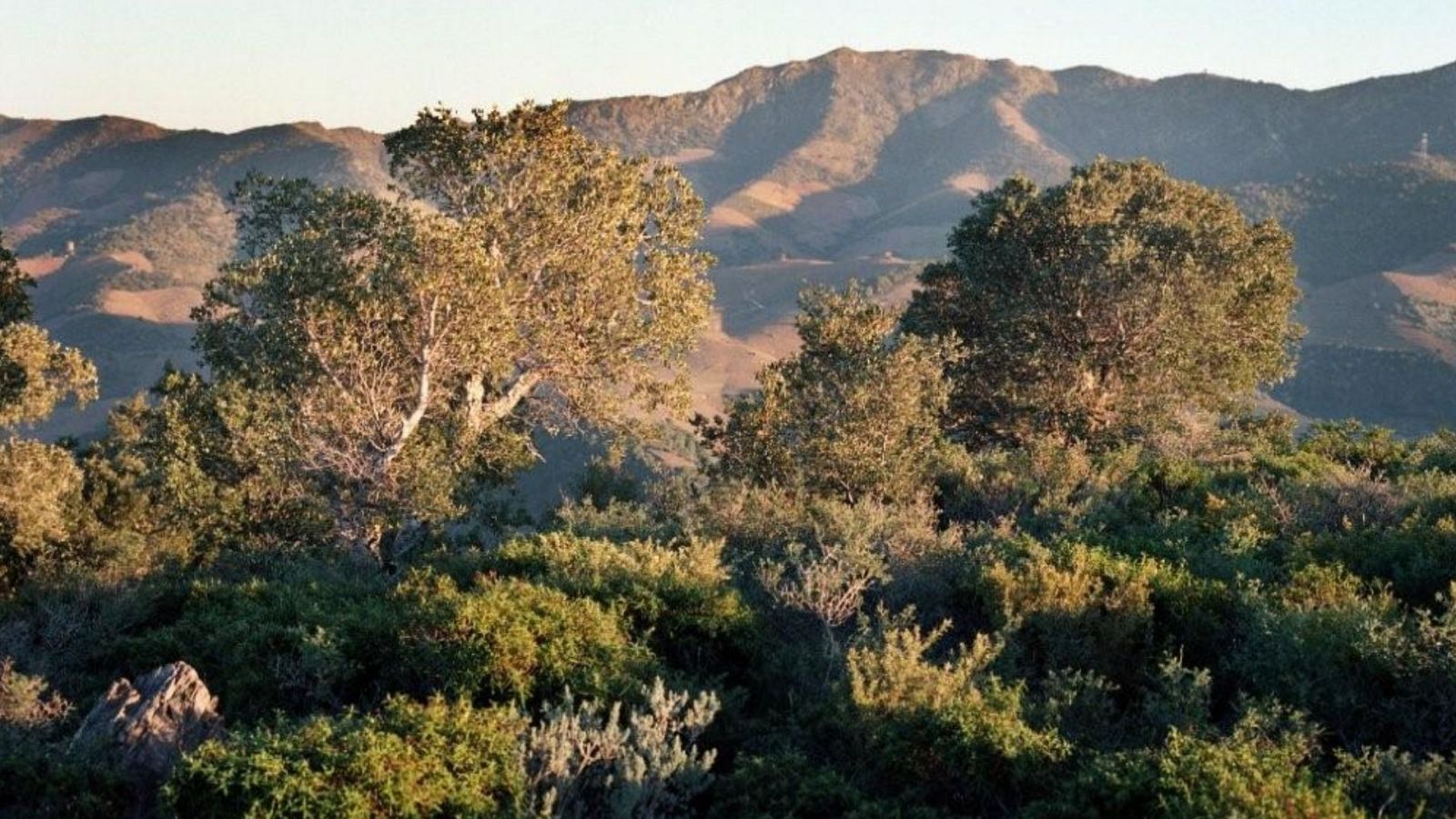 Para todos La 2 - 17/02/24 - ver ahora