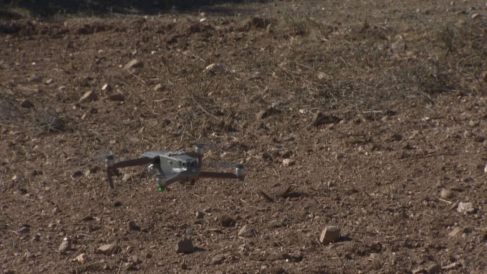 Els boscos més secs en un mes de febrer - L'Informatiu | Ver