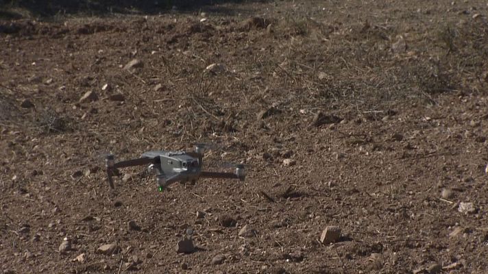 L'Informatiu - Els boscos més secs en un mes de febrer