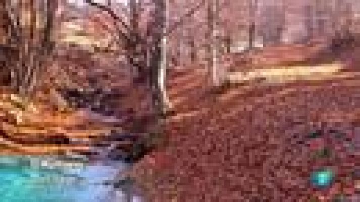 L'Informatiu - Les fotografies de "El temps"