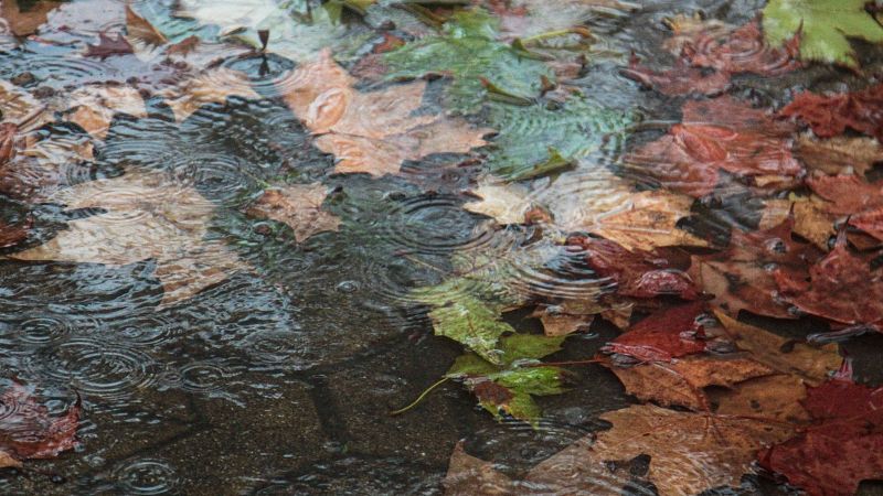 La semana acaba con lluvias en el norte peninsular y poco nuboso en el resto del país