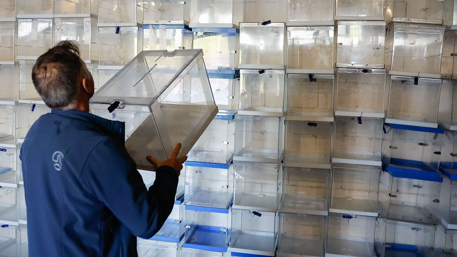 Telediario matinal en cuatro minutos - 18/02/2024 | Ver