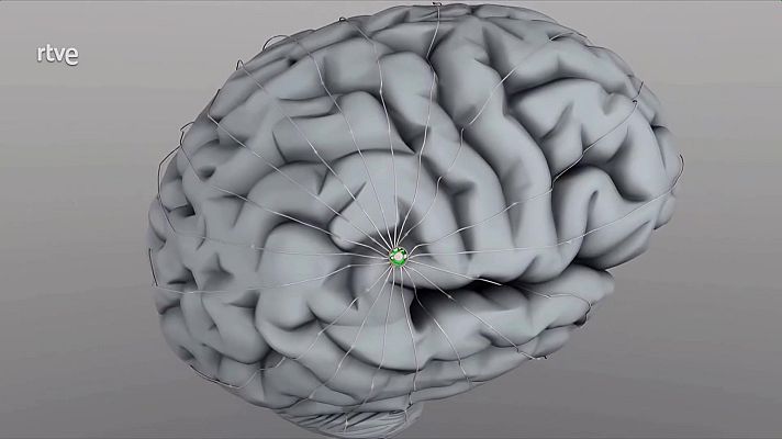 Parlamento - Resumen del 17/02/2024