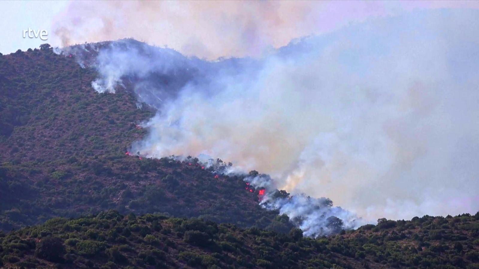 Parlamento-El Reportaje-Informe Incendios | Ver